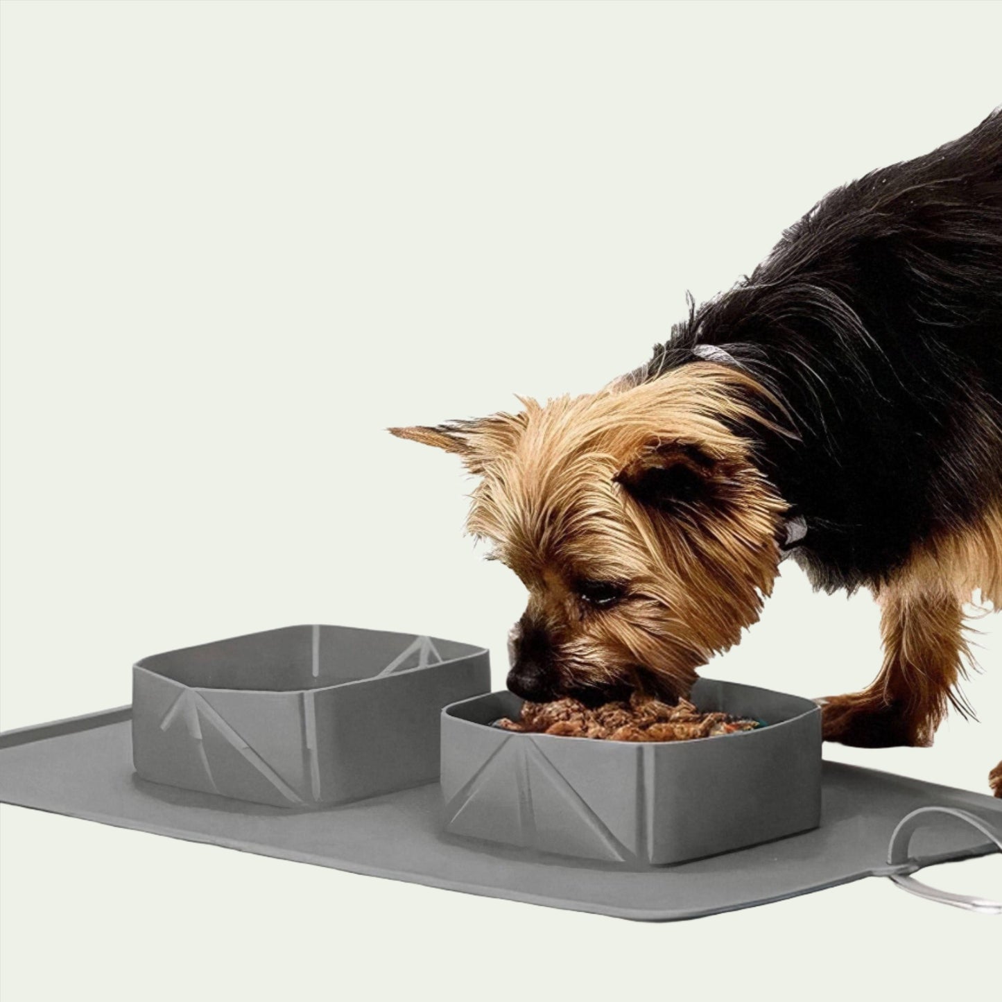 Trailblaze Travel Bowl Set