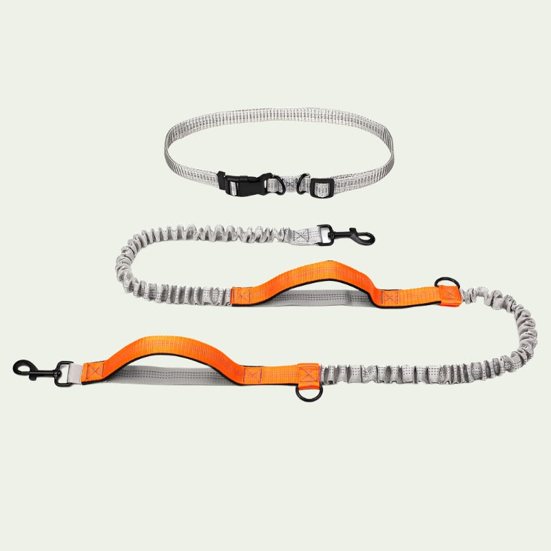 UrbanStride Reflective Running Belt Leash