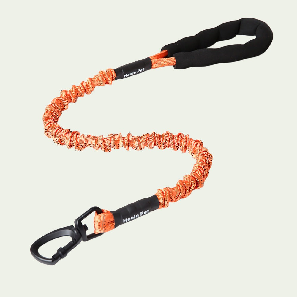 UrbanStride Reflective Bungee Leash