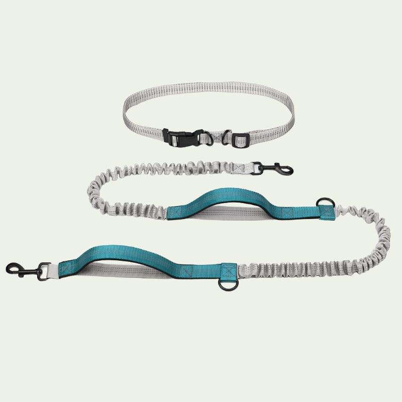 UrbanStride Reflective Running Belt Leash