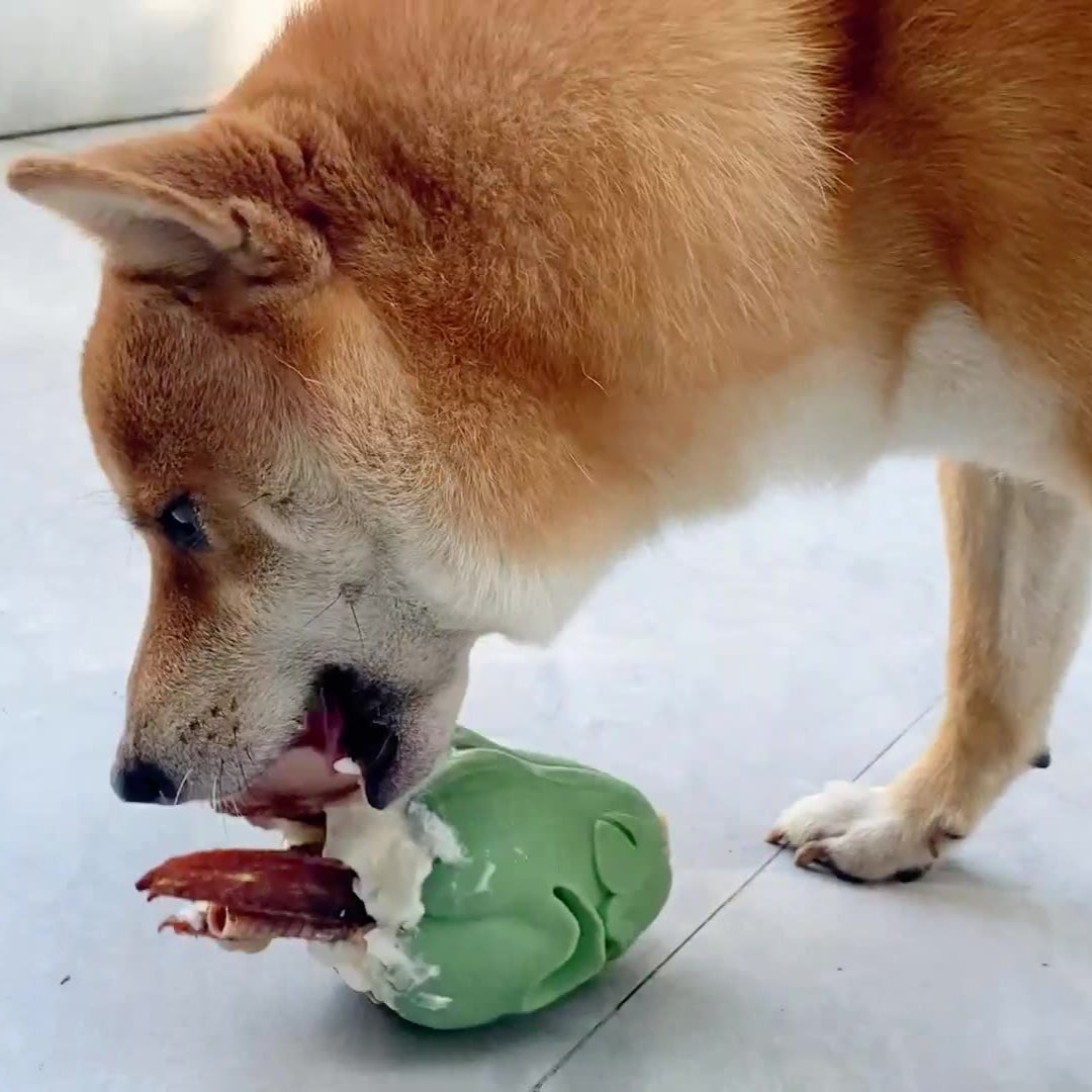 Pirate Paws Trick-or-Treat Leaky Ball