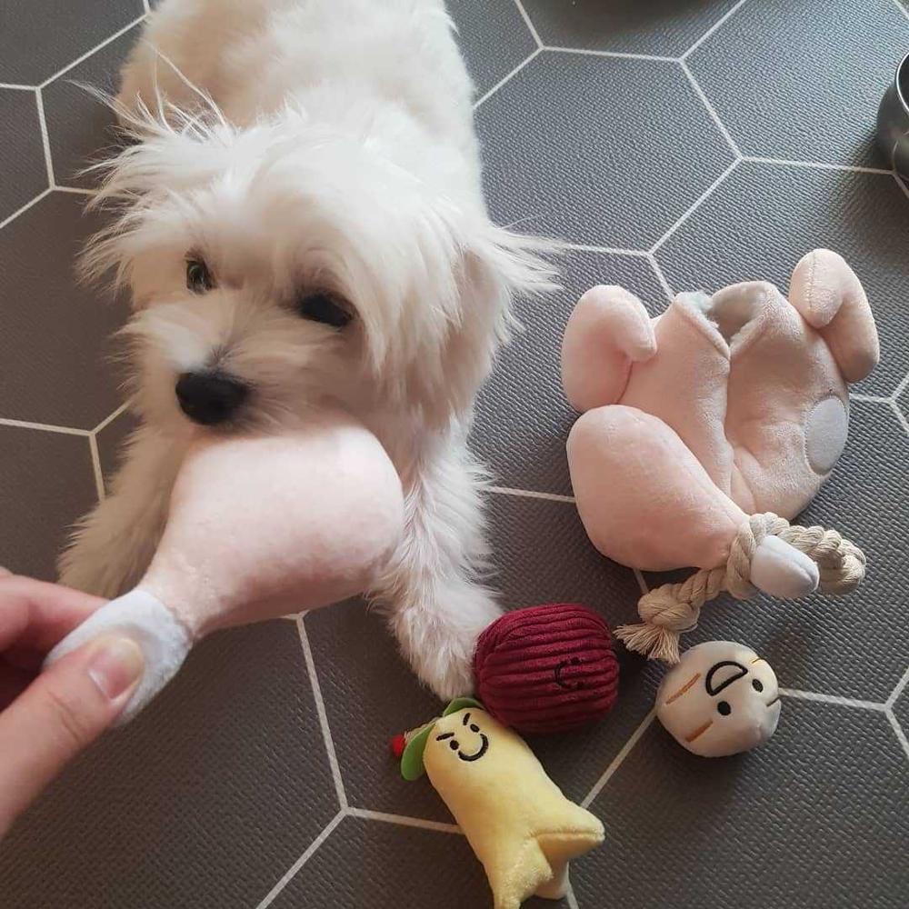 5 in 1 Turkey Time Tug & Treat