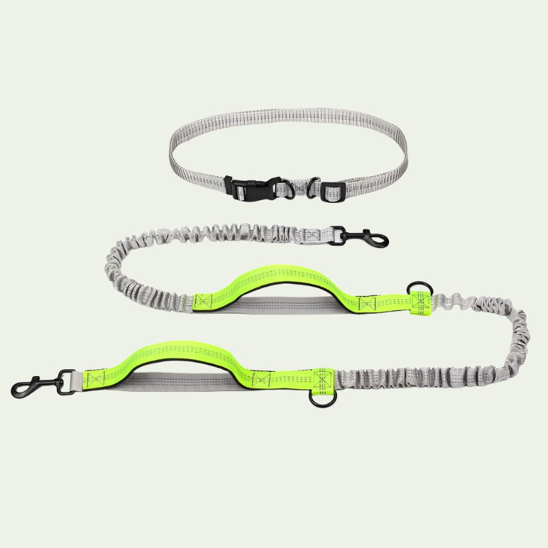 UrbanStride Reflective Running Belt Leash