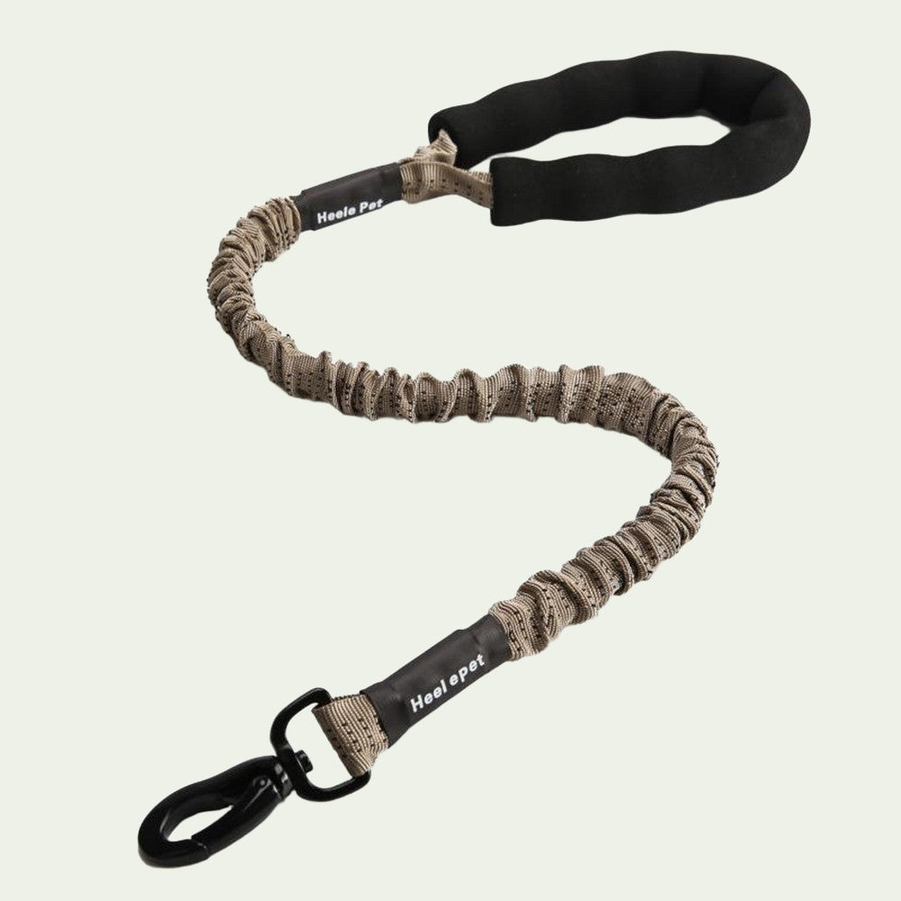 UrbanStride Reflective Bungee Leash