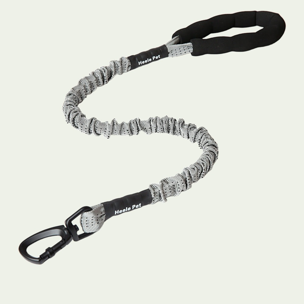 UrbanStride Reflective Bungee Leash