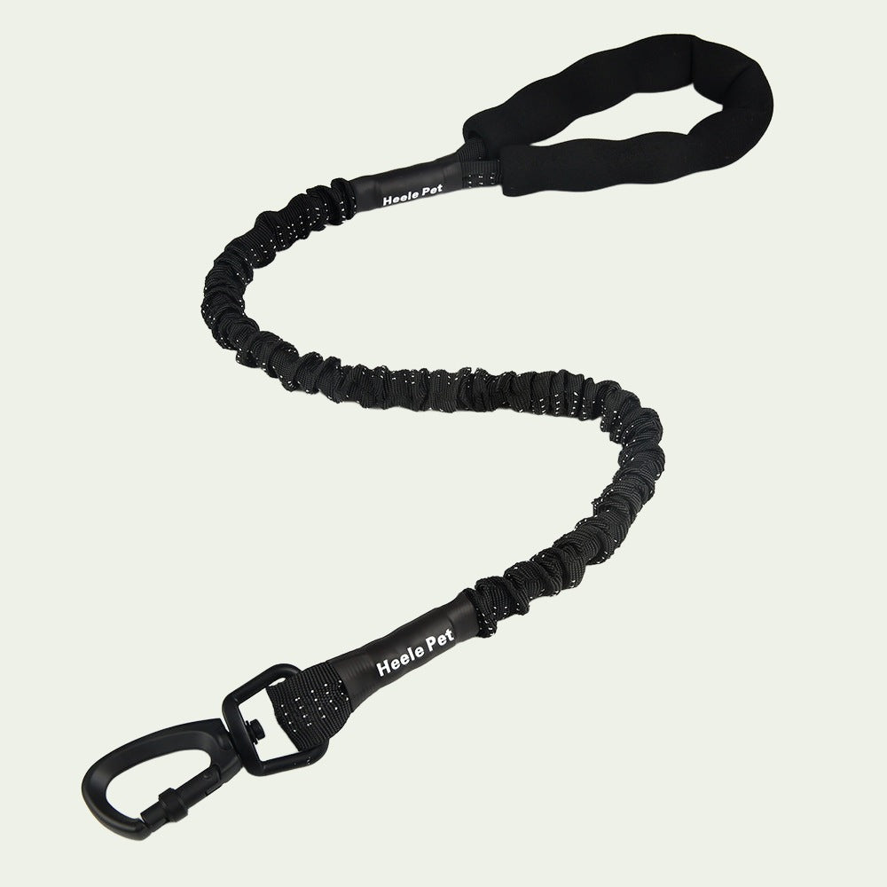 UrbanStride Reflective Bungee Leash