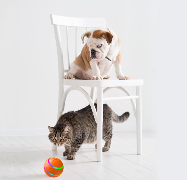 ActivePaw TurboBall 5000
