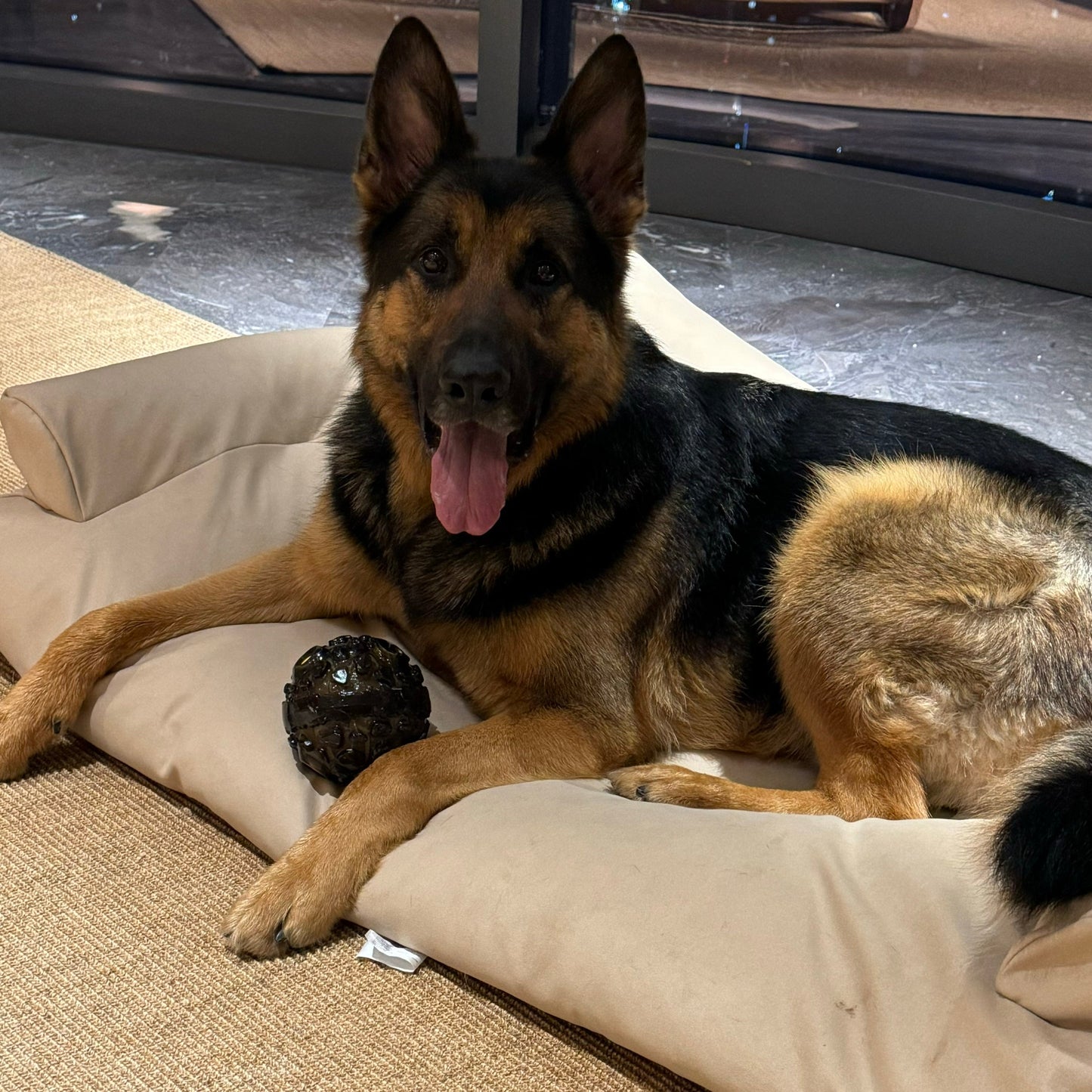 ActivePaw Meteorite Strange Sound Teether Ball