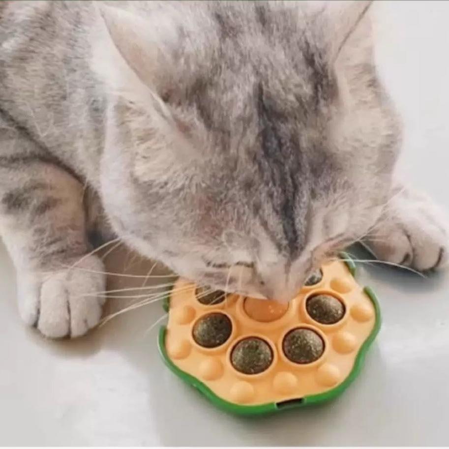 Purrfect Pawsome 7 Purrs & a Treat