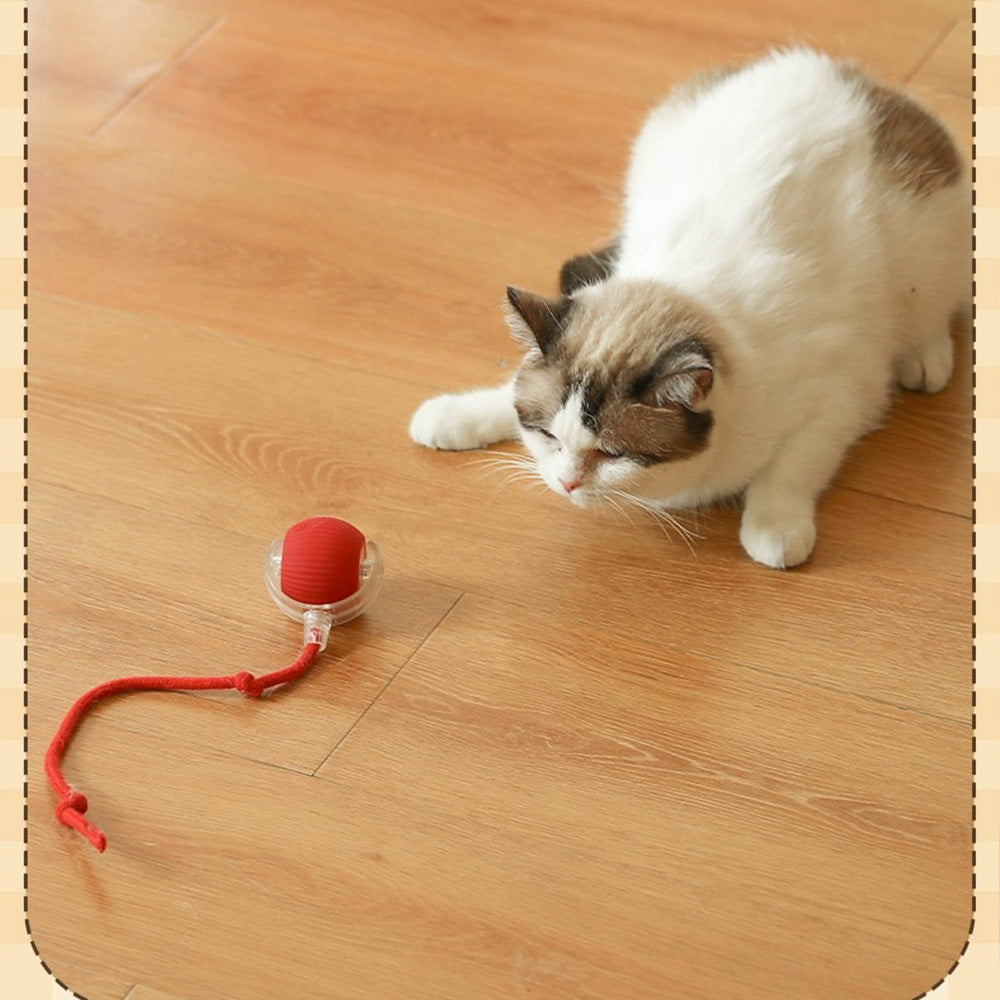 Adaptive movement rolling ball for cats, designed to switch modes based on your pet’s activity level and play style