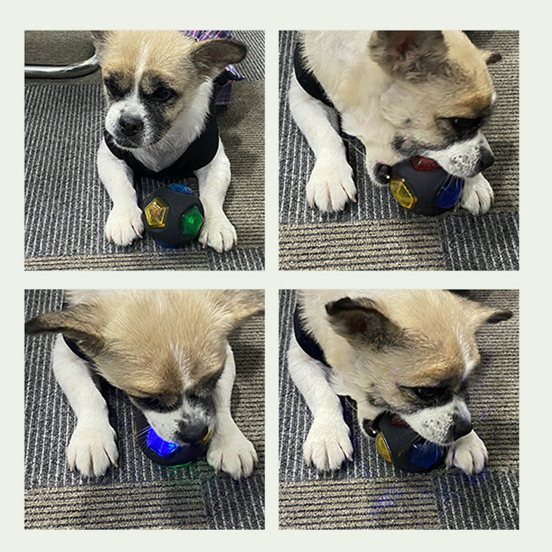 Dog toy that promotes dental health by helping clean teeth and strengthen gums while satisfying chewing urges