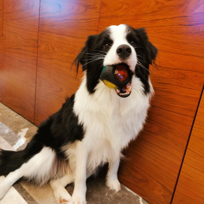 ActivePaw GlowChomp Ball made from durable, export-standard Thermo-Plastic Rubber (TPR), providing a safe and tough chew toy for dogs