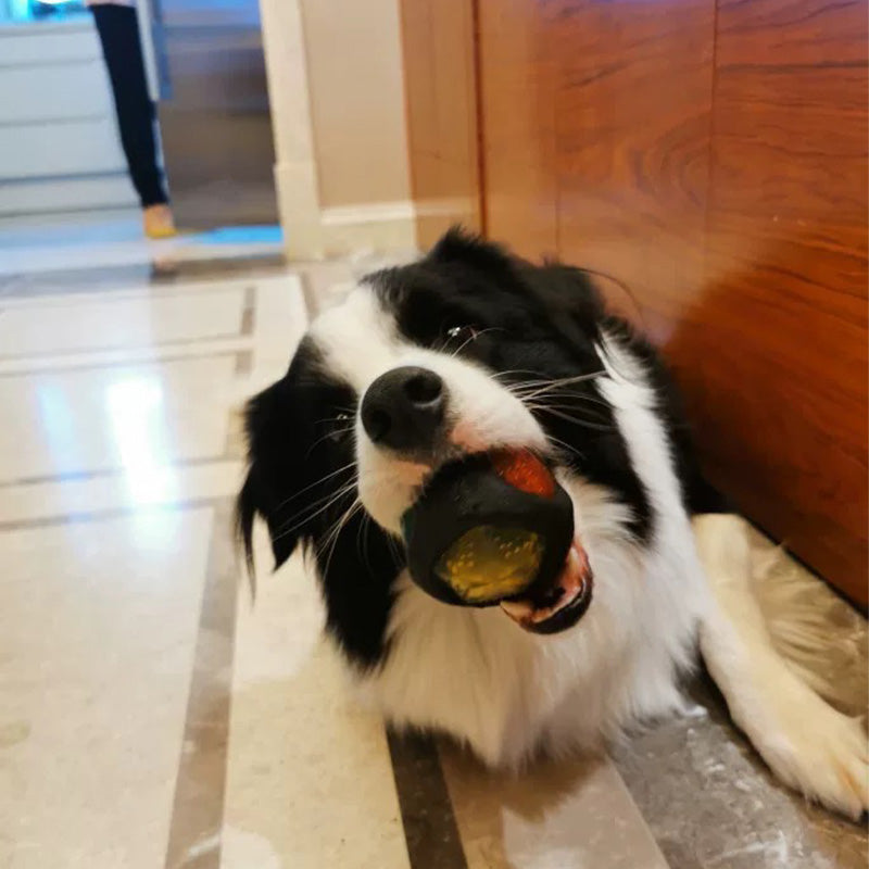 Dog toy with bright lights and squeaky sounds, ensuring all-day playtime and keeping your furry friend busy and happy