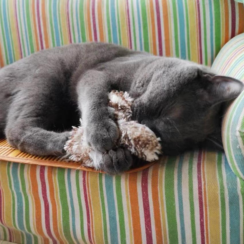 Close-up of a cat paw touching a durable, feather-like toy surface made of seamless fabric