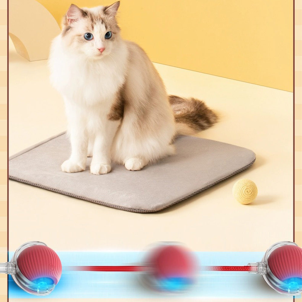 Self-moving technology in a cat toy that keeps pets entertained for hours, giving owners a well-deserved break