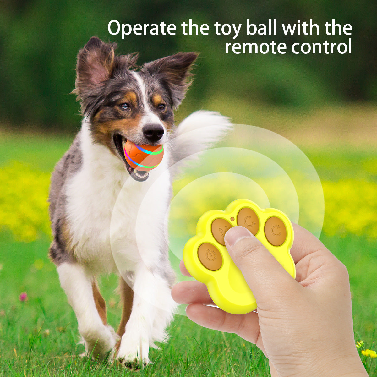 Durable and waterproof ActivePaw TurboBall for hands-free dog entertainment