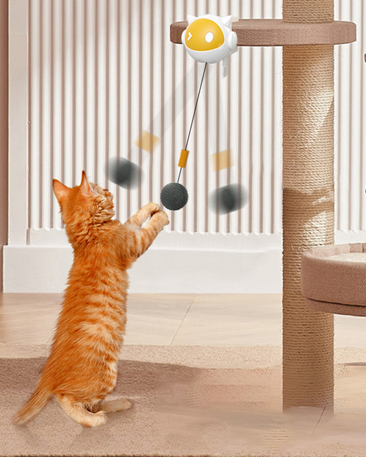Cat playing with ActivePaw Tease & Chase clip-on toy attached near a cat tree
