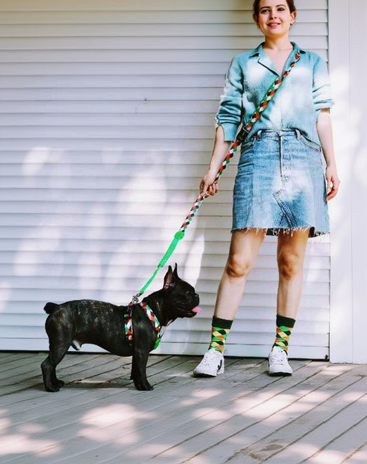 Dog walking outdoors with UrbanStride Pattern Walk Leash during a casual stroll