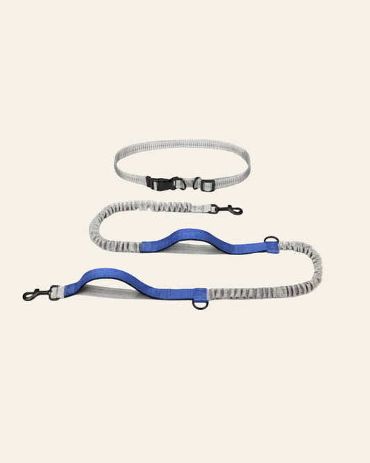 UrbanStride Reflective Run Belt hands-free dog running leash in ocean blue, product view