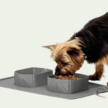 Trailblaze Travel Bowl Set