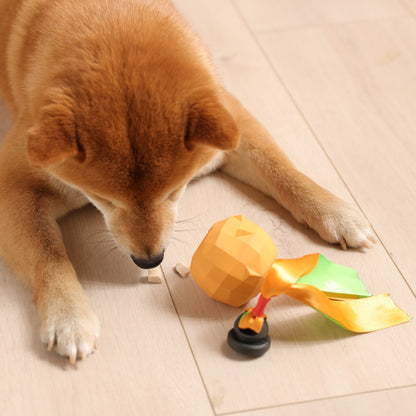 ColorFlex Fruits Chew Cleaner