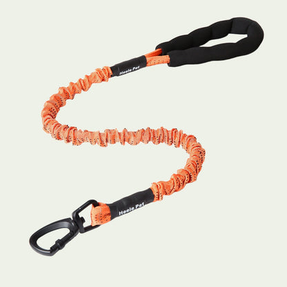 UrbanStride Reflective Bungee Leash