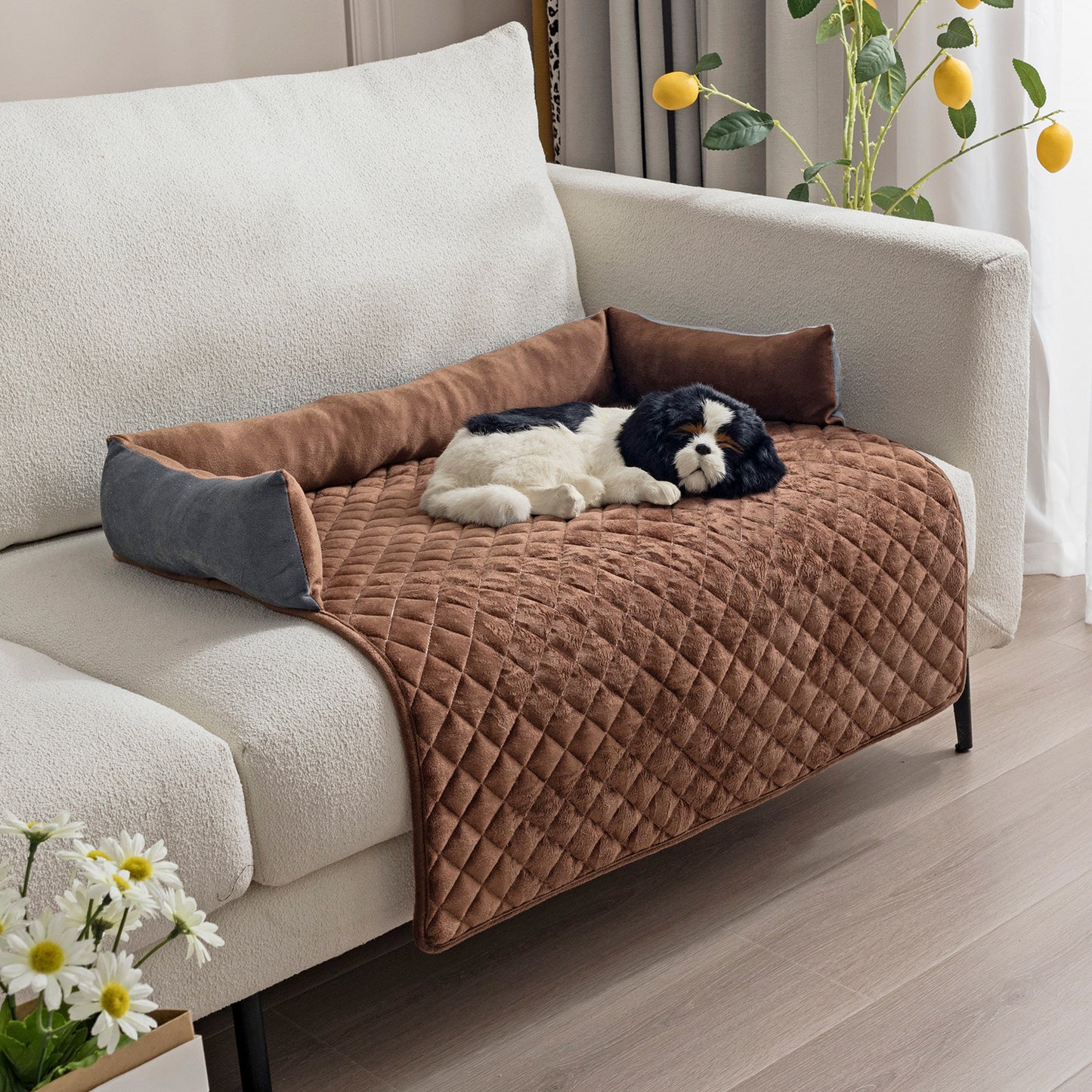 CuddleCloud Dog Sofa Protector – 15% Off Now! 🐾