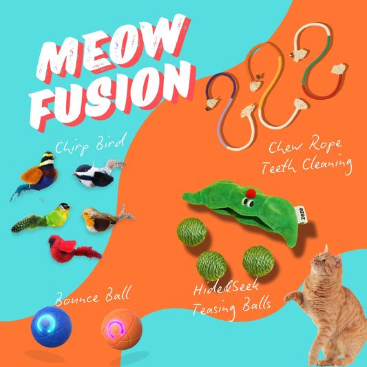 Meow Fusion-Make Every Day a Purr-fect Adventure for Your Cat!
