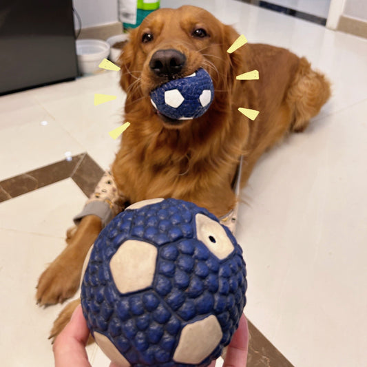 PawActive Bite-Proof & Interactive