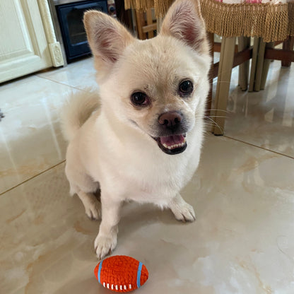 PawActive Bite-Proof & Interactive