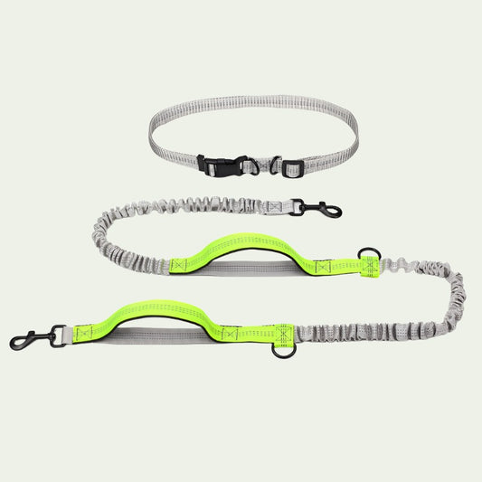 UrbanStride Reflective Running Belt Leash