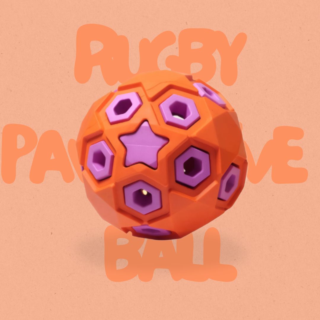 ActivePaw Rugby Ball