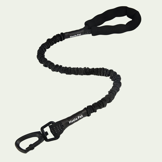 UrbanStride Reflective Bungee Leash