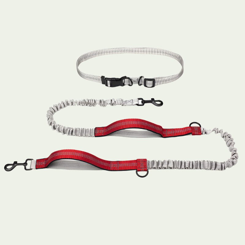 UrbanStride Reflective Running Belt Leash