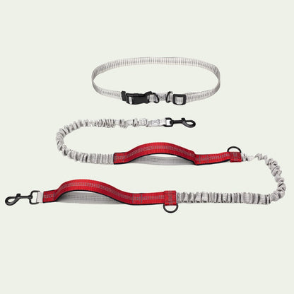 UrbanStride Reflective Running Belt Leash