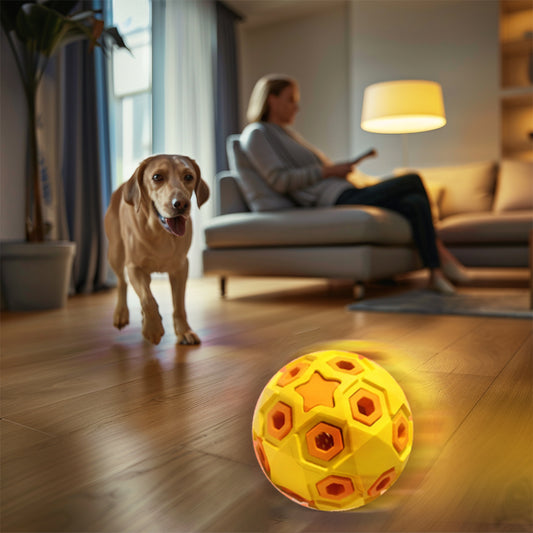 ActivePaw Rugby Ball