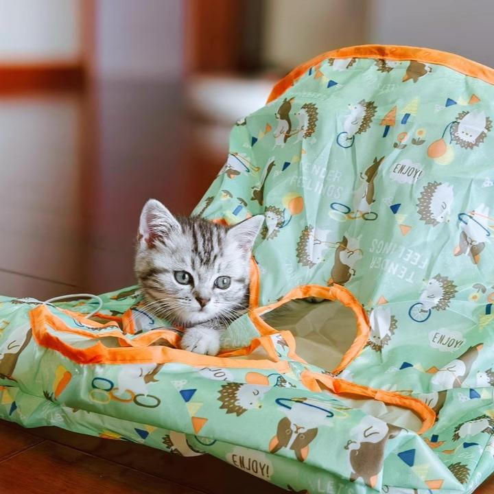 ActivePaw Cat Diamond Bag – The Ultimate Cat Playground