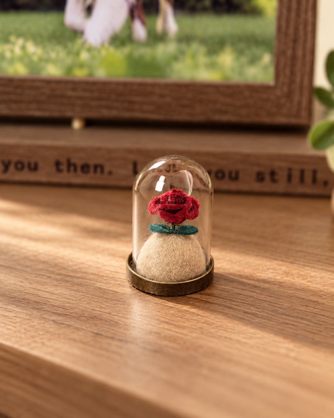 Close-up of a miniature red felt rose beneath a clear glass dome, with a cream felt base and warm wooden memorial frame in the background. A meaningful pet remembrance, with or without saved fur.