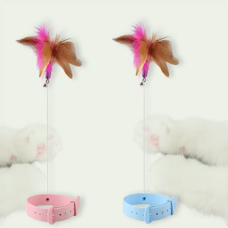 SPOIL CAT DEAL SAVE 50 IF BUY SET PawActive Feather Teaser SupPaw