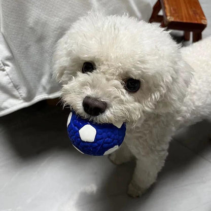 PawActive Bite-Proof & Interactive