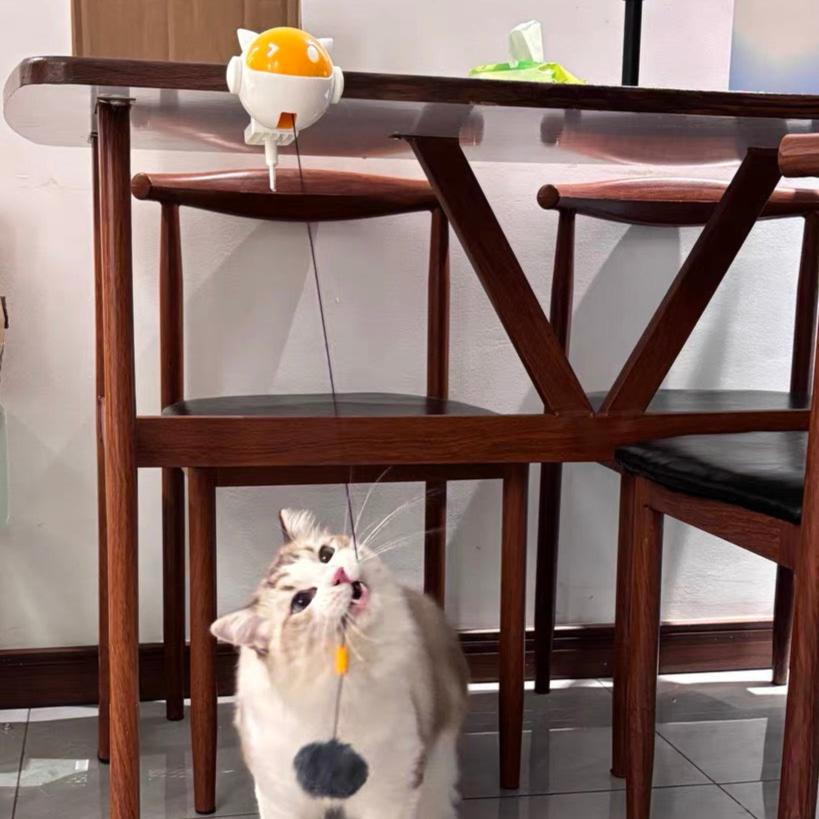 ActivePaw Tease & Chase: Automatic Cat Toy with Clip-On & Motion Ball