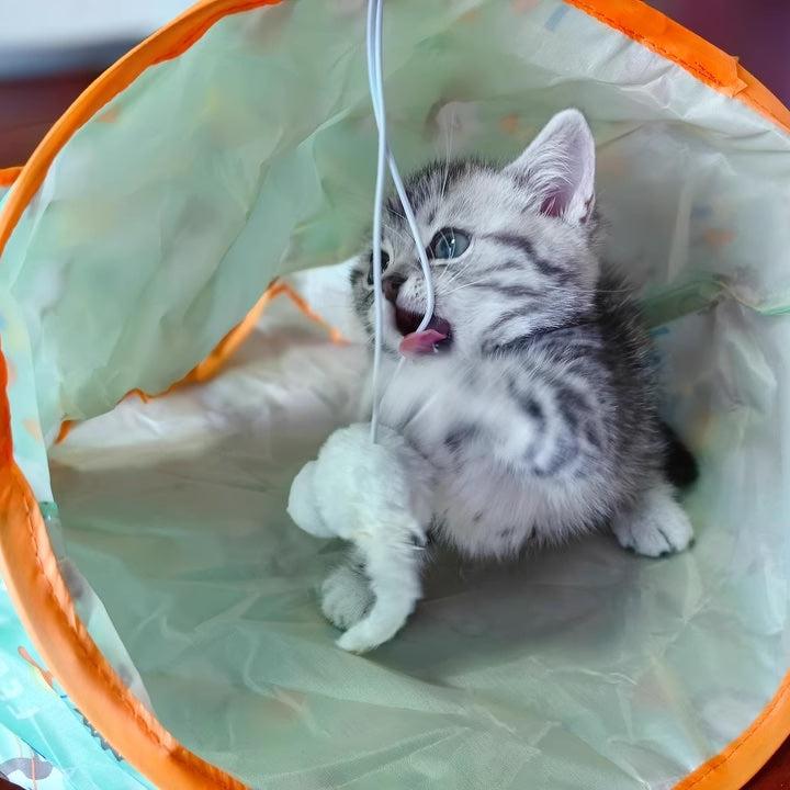 ActivePaw Cat Diamond Bag – The Ultimate Cat Playground
