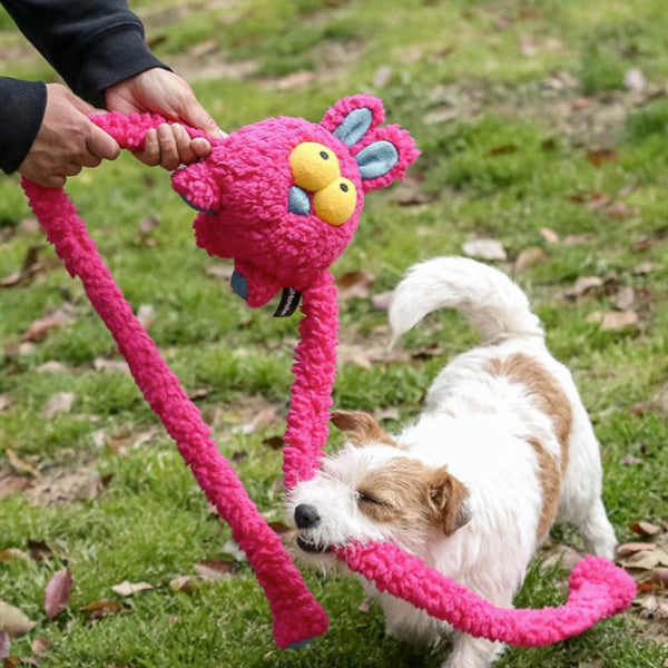 Dog tugging on a colorful plush toy during outdoor playtime with owner