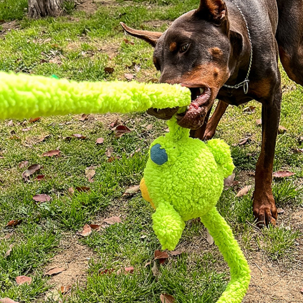 Holiday-themed durable dog toy on sale, ideal for big dogs and festive fun.