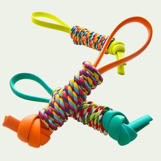 ColorFlex Molar Chew Rope