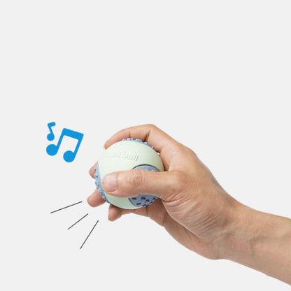 ColorFlex Fetch Ball