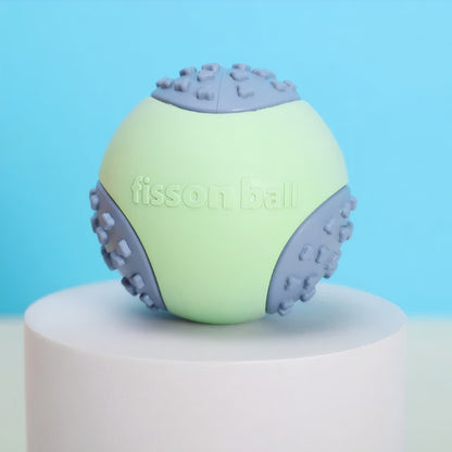 ColorFlex Fetch Ball