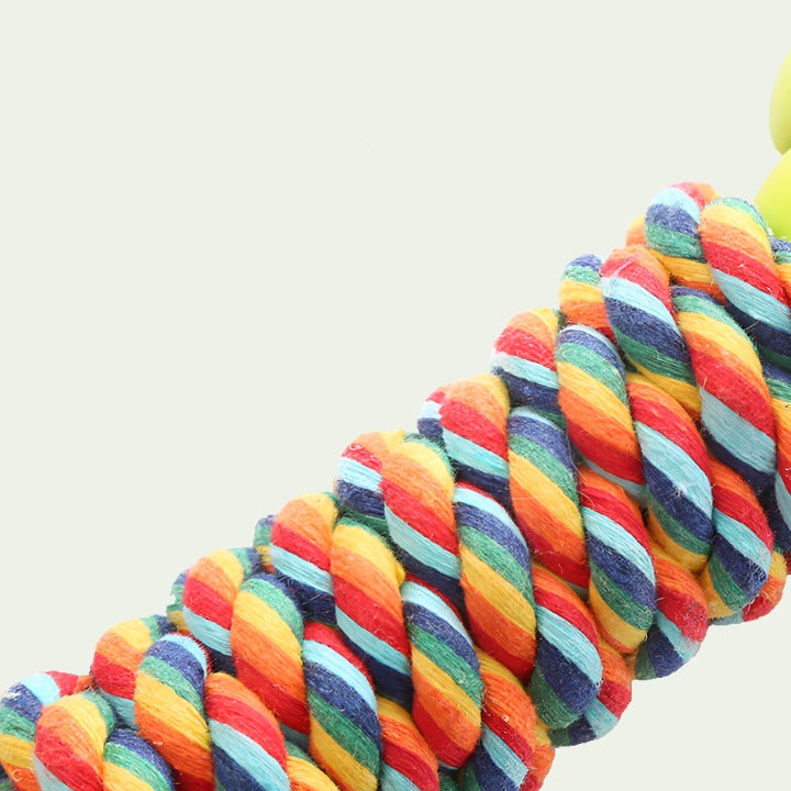 ColorFlex Molar Chew Rope