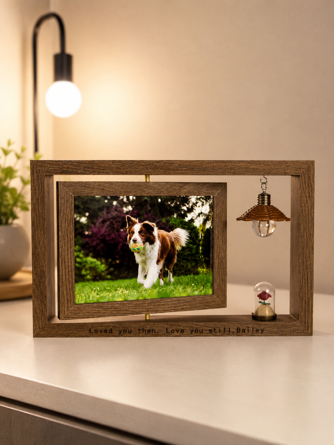 Personalized wooden pet memorial frame featuring Bailey as an adult dog, with a rotating photo holder, engraved message, miniature rose dome, and soft bedside light.
