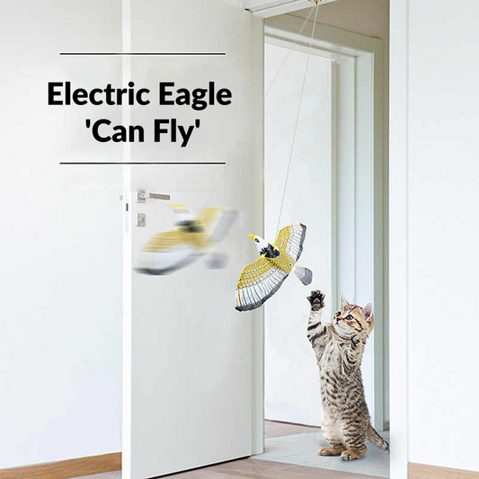 Active Paw ceiling-mounted bird toy, rotating and fluttering to capture cats' attention 